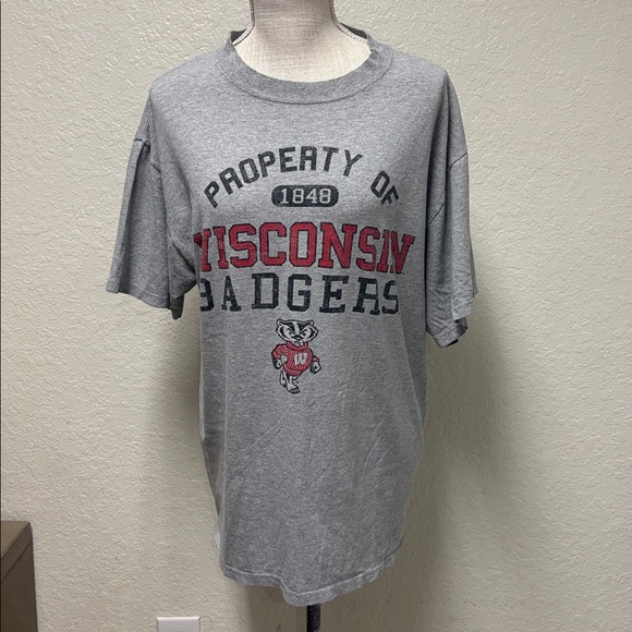 Soffe Other - Soffe Gray Wisconsin Badgers Tee